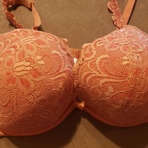 Cacique Lace Underwire Bra in Coral 42C